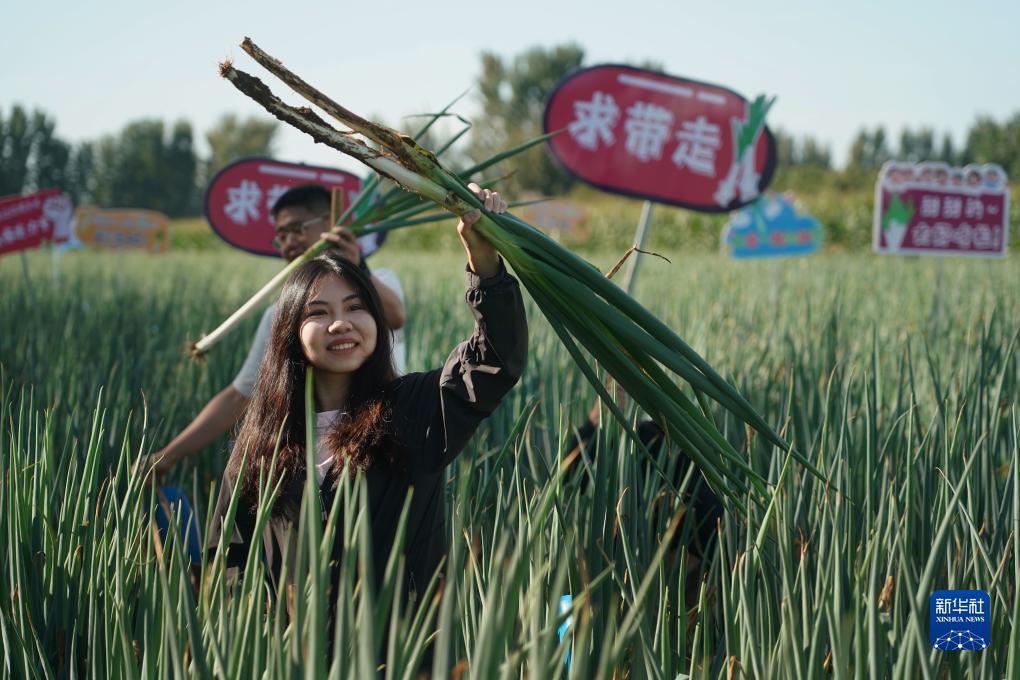 合乐888登录